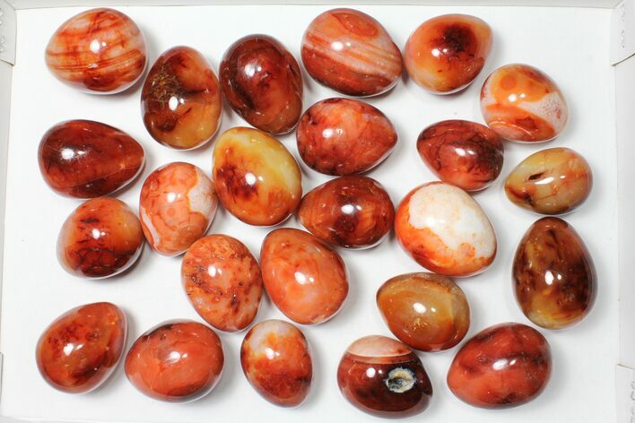 Lot: - Polished Carnelian Eggs - Pieces #91434